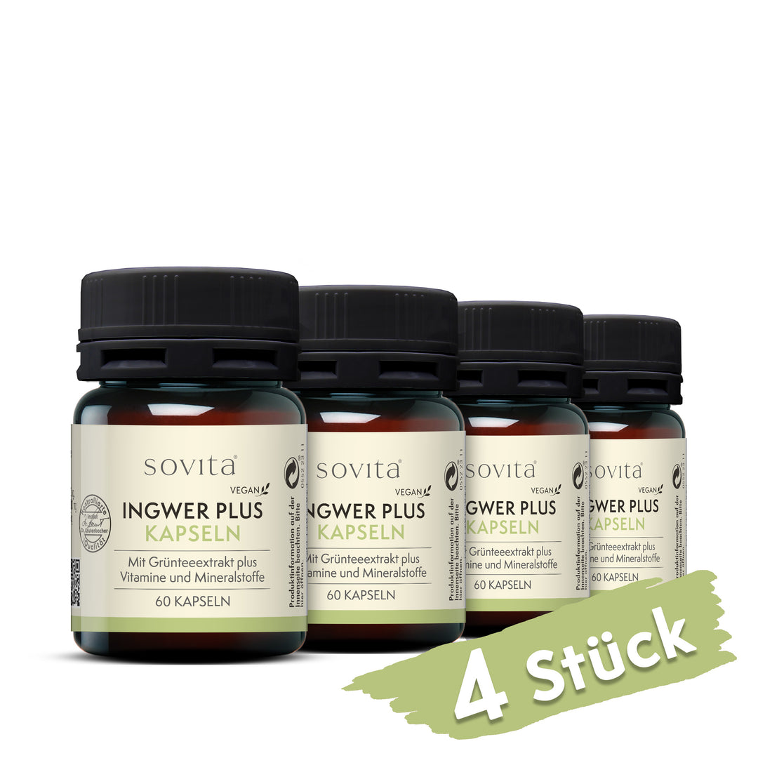 sovita Ingwer Plus Kapseln