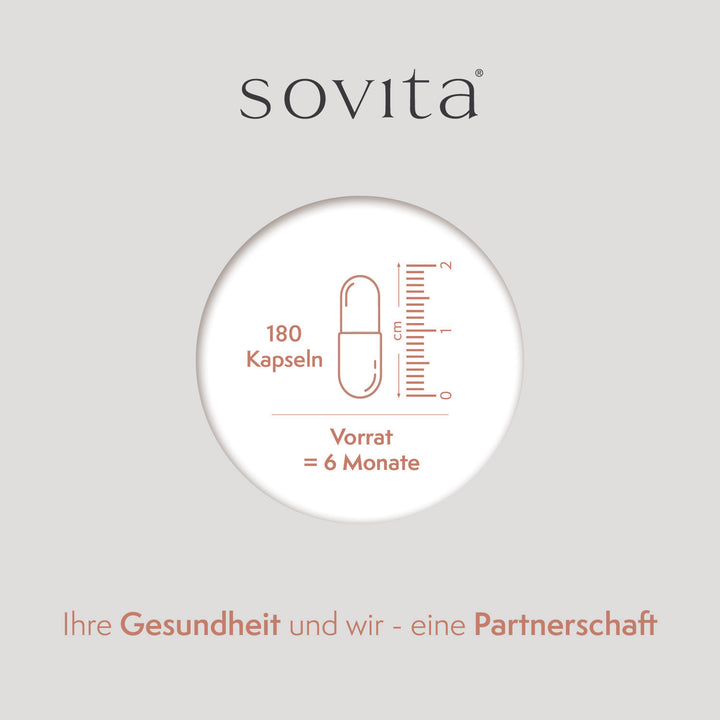 sovita Folsäure Plus Kapseln