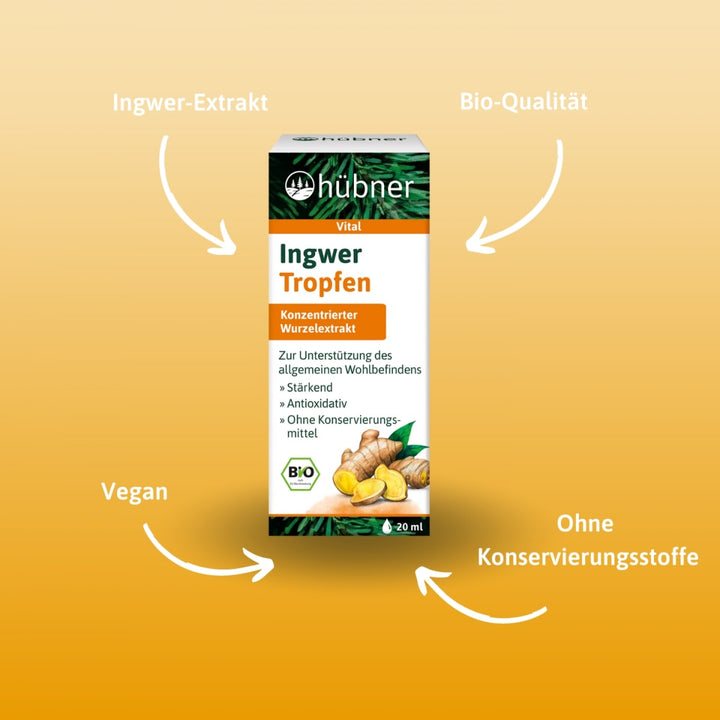 Hübner Ingwer Tropfen BIO (20 ml)