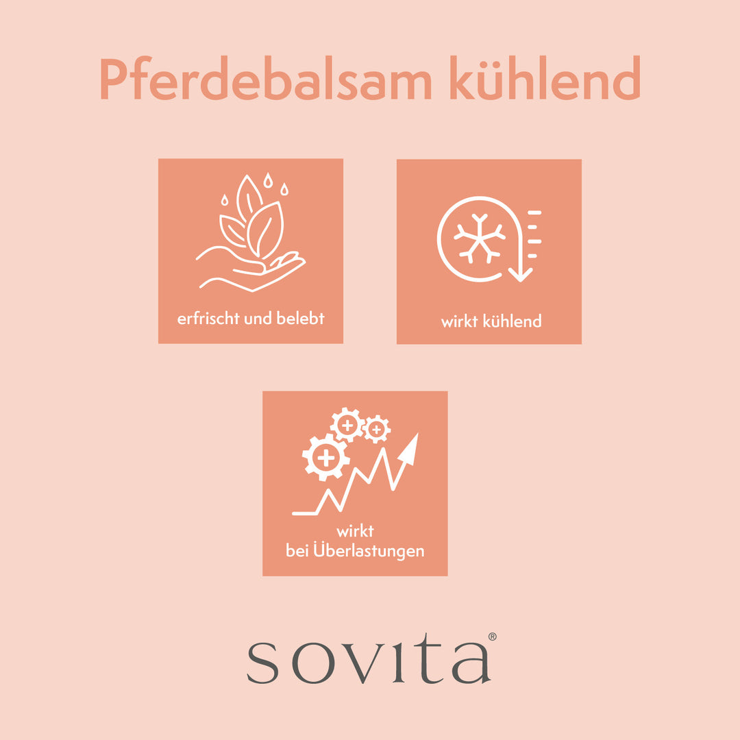 sovita Pferde-Balsam kühlend