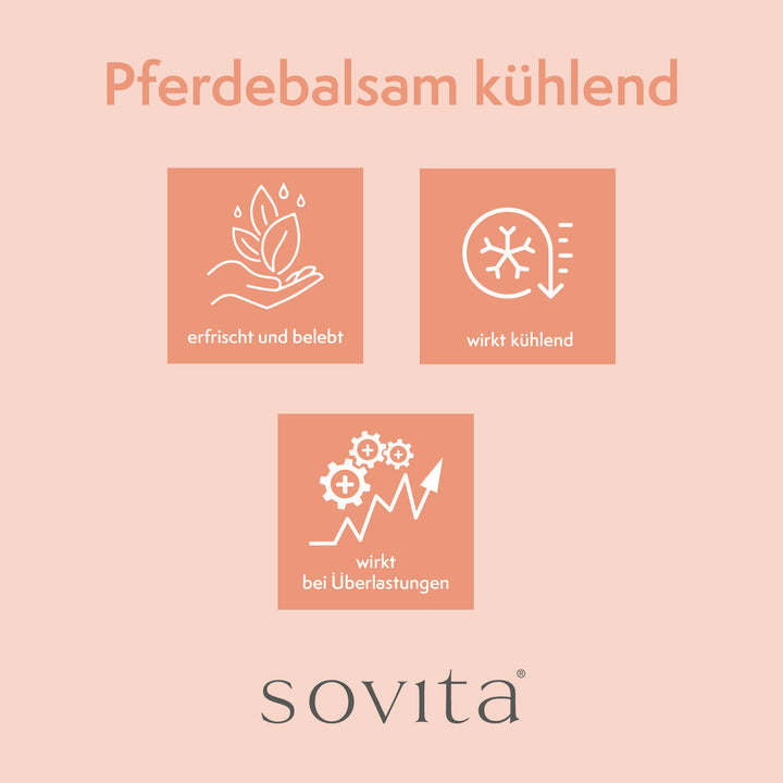sovita Pferde-Balsam kühlend