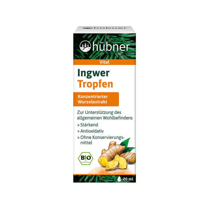 Hübner Ingwer Tropfen BIO (20 ml)
