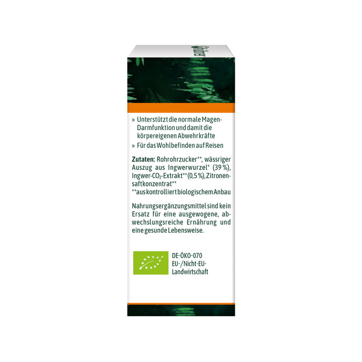 Hübner Ingwer Tropfen BIO (20 ml)