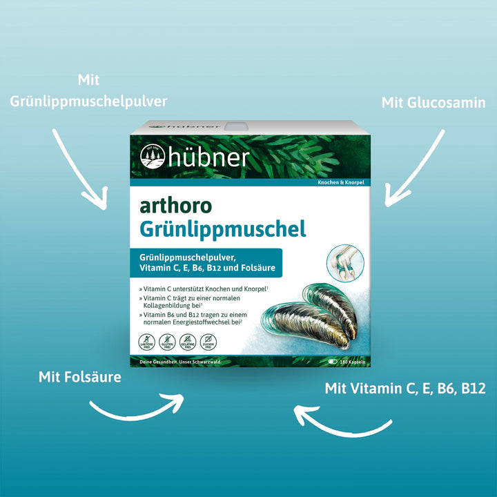 Hübner arthoro Grünlippmuschel (180 Stk.)