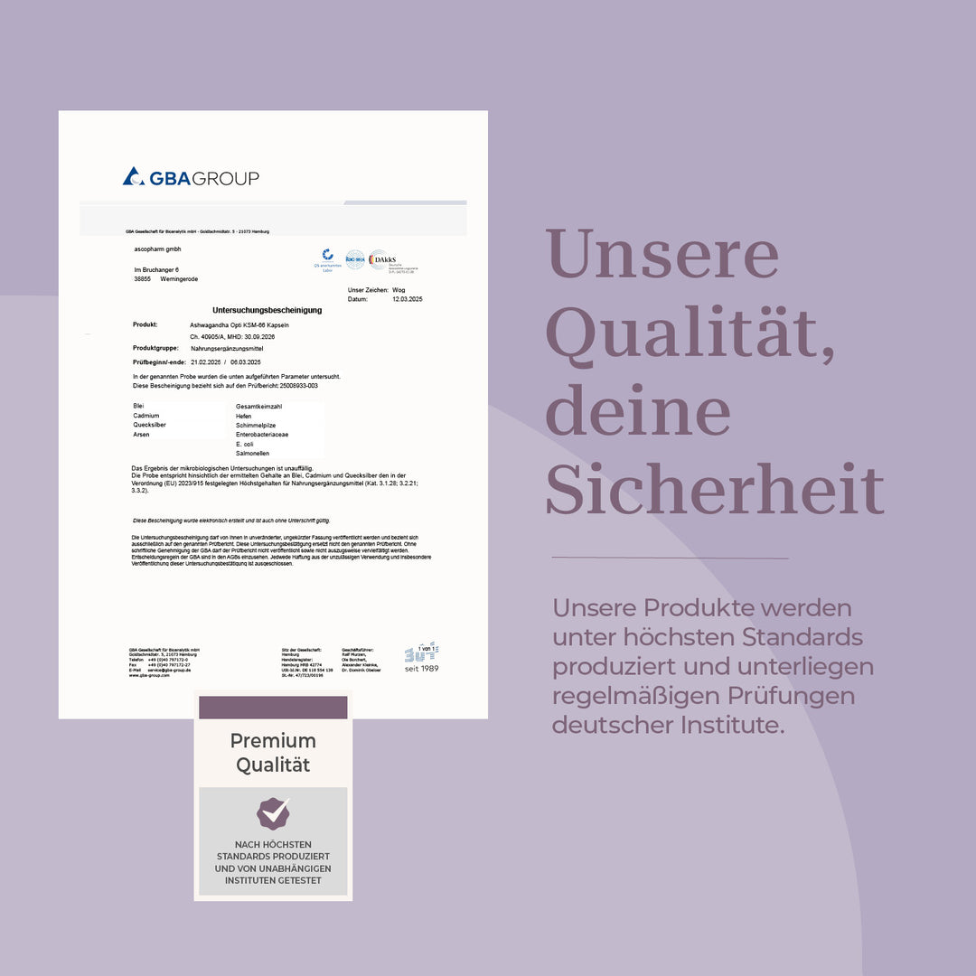 violila Ashwagandha KSM-66 Kapseln