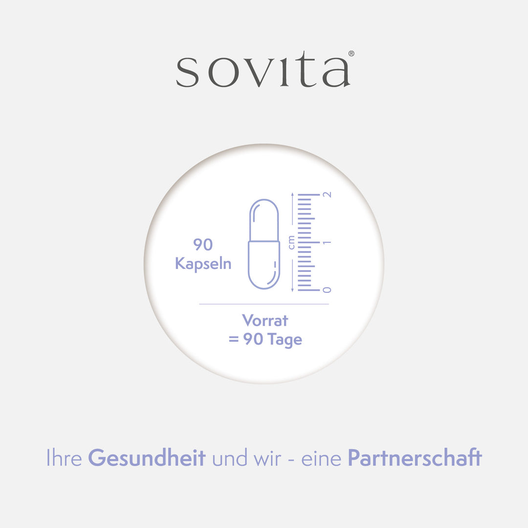 Illustration einer Ginkgo-Kapsel mit Maßskala und Mengenangabe für 90 Kapseln als 90-Tage-Vorrat auf hellem Hintergrund