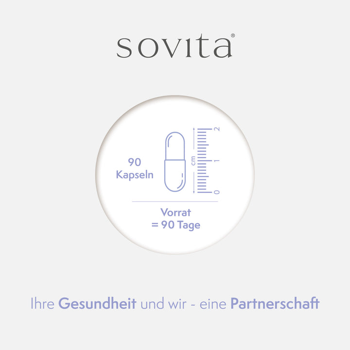 Illustration einer Ginkgo-Kapsel mit Maßskala und Mengenangabe für 90 Kapseln als 90-Tage-Vorrat auf hellem Hintergrund