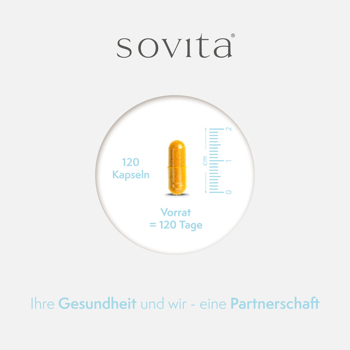 Visualisierung einer Curcuma Opti Kapsel mit Maßstab, 120 Kapseln für 120 Tage Vorrat