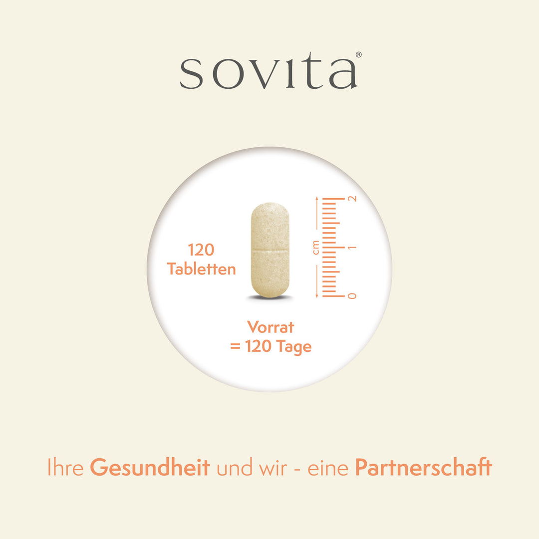 sovita MSM + Vitamin C Tabletten