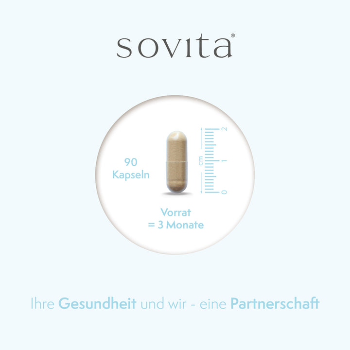 sovita Brennnessel Opti 500 Kapseln