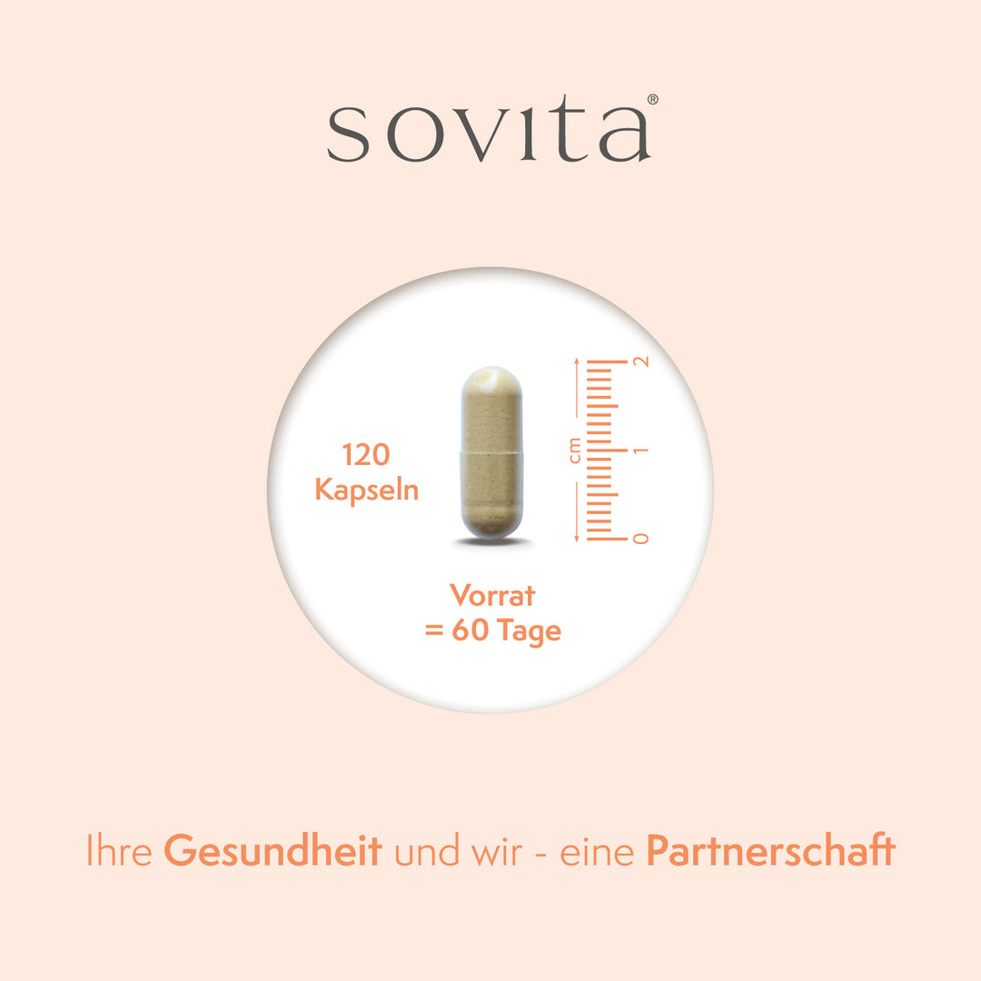 sovita Grünlippmuschel Kapseln