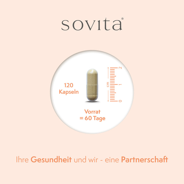 sovita Grünlippmuschel Kapseln