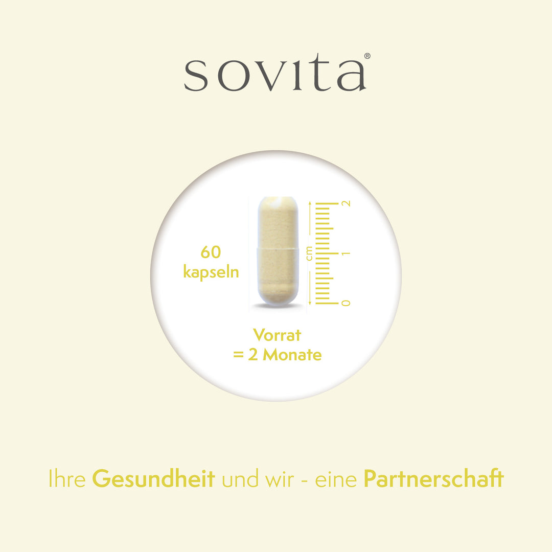 sovita Vitamin C 500 Plus Zink Kapseln