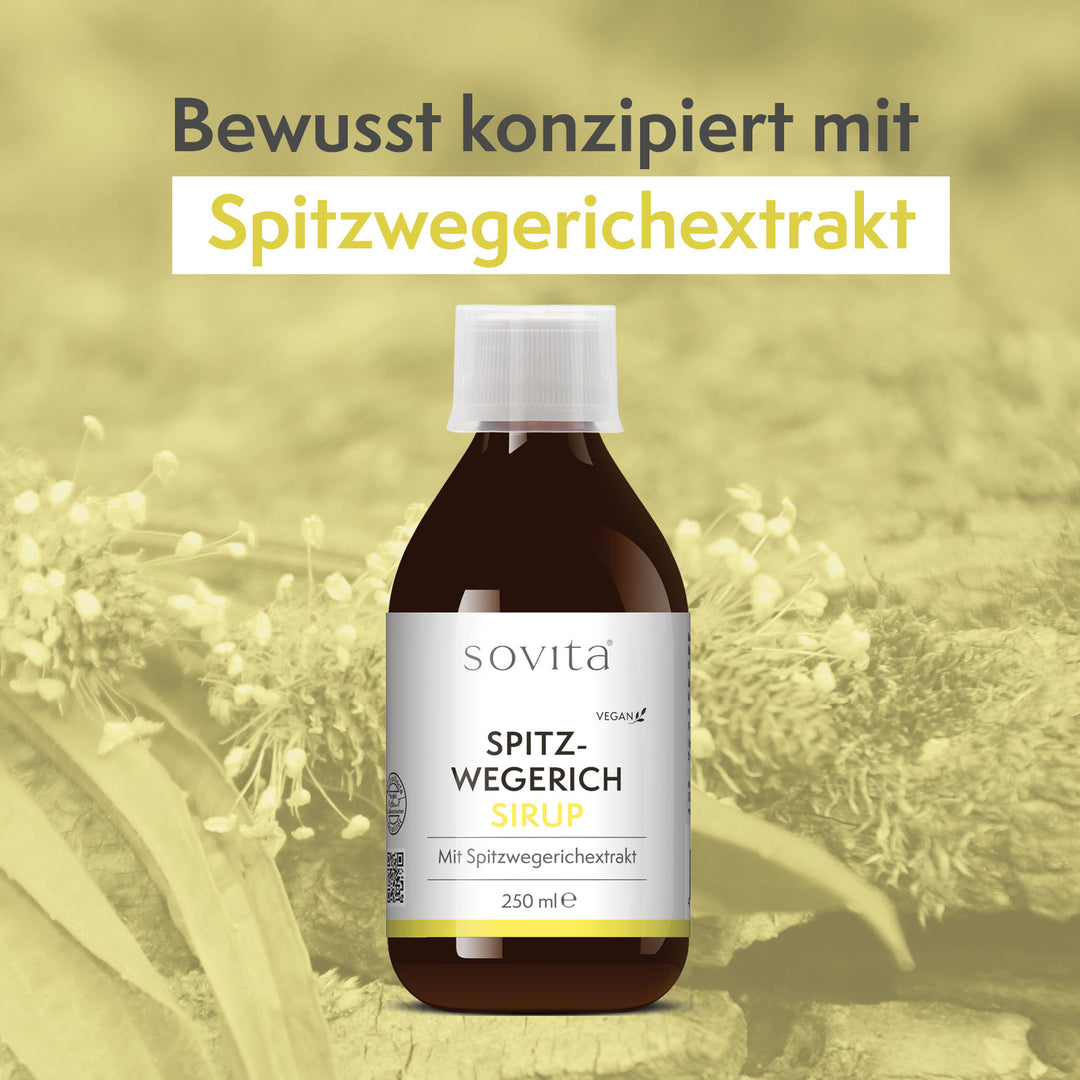 sovita Spitzwegerich Sirup