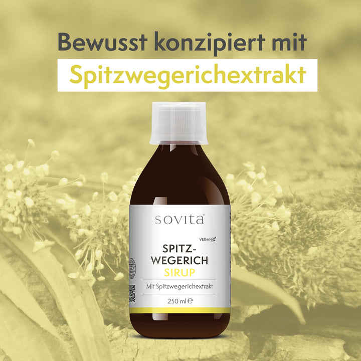 sovita Spitzwegerich Sirup