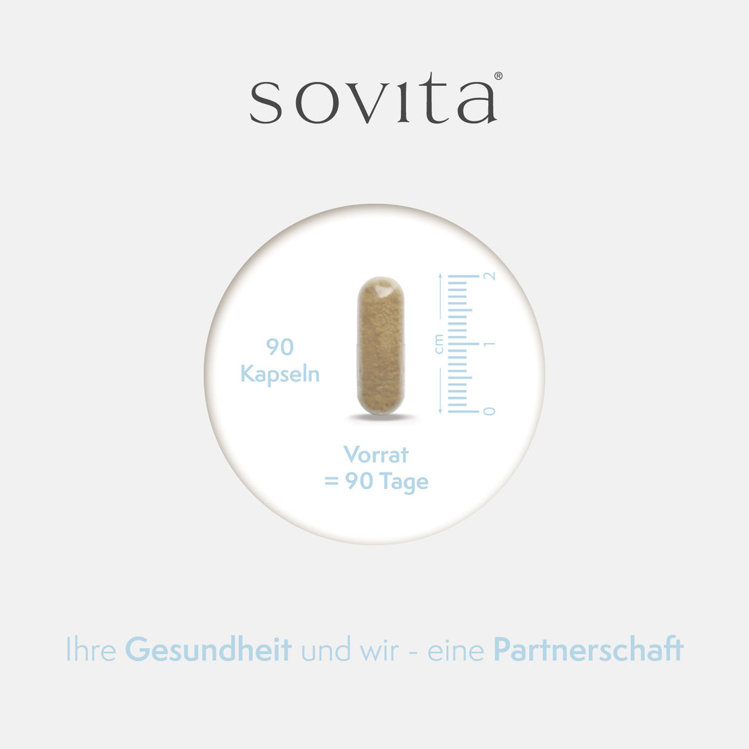 sovita Leber Komplex Kapseln