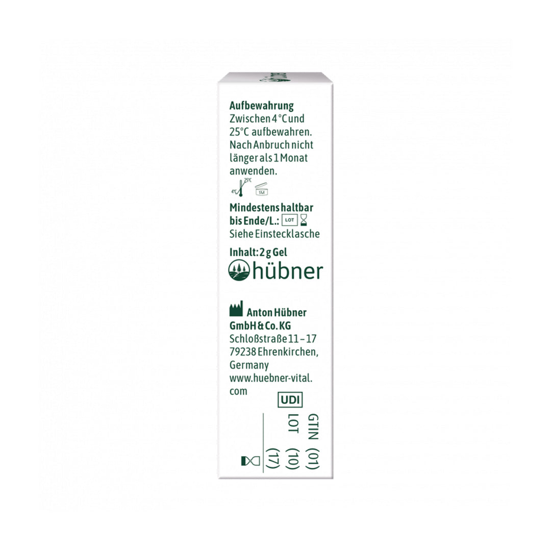 Hübner Lippenherpes-Gel (2 g)