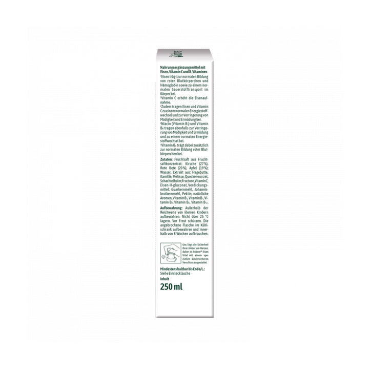 Hübner Eisen Vital - Trinksaft (250 ml)