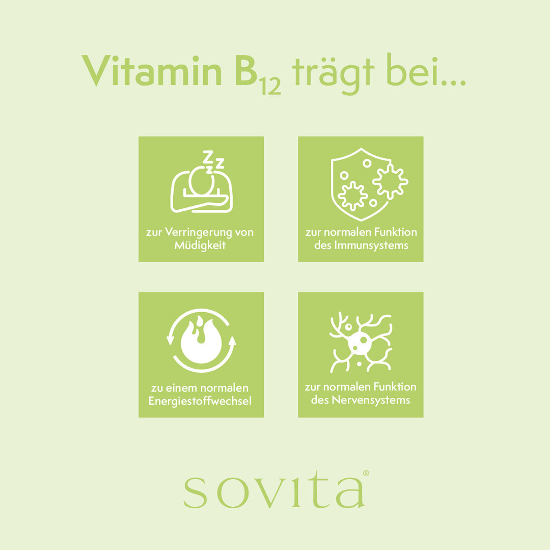 Grafik mit vier Icons zur Wirkung von Vitamin B12: Verringerung von Müdigkeit, normale Funktion von Immunsystem, Energiestoffwechsel und Nervensystem.