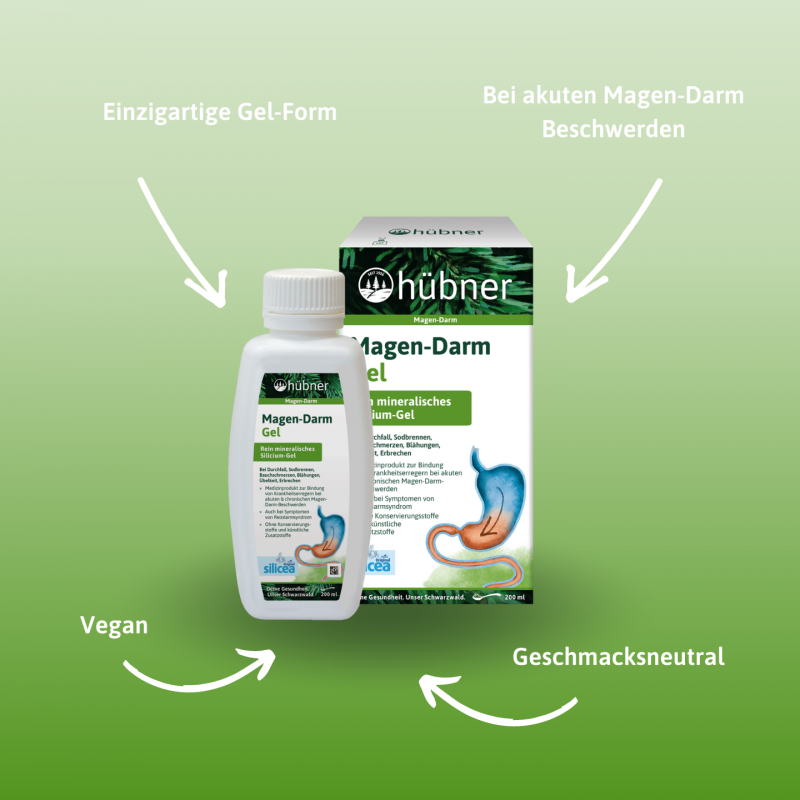 Hübner Magen-Darm Gel (200 ml)