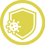 Immunsystem